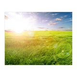 Nature (Print Only) thumbnail