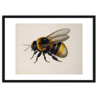 Bumblebee Vintage Illustration