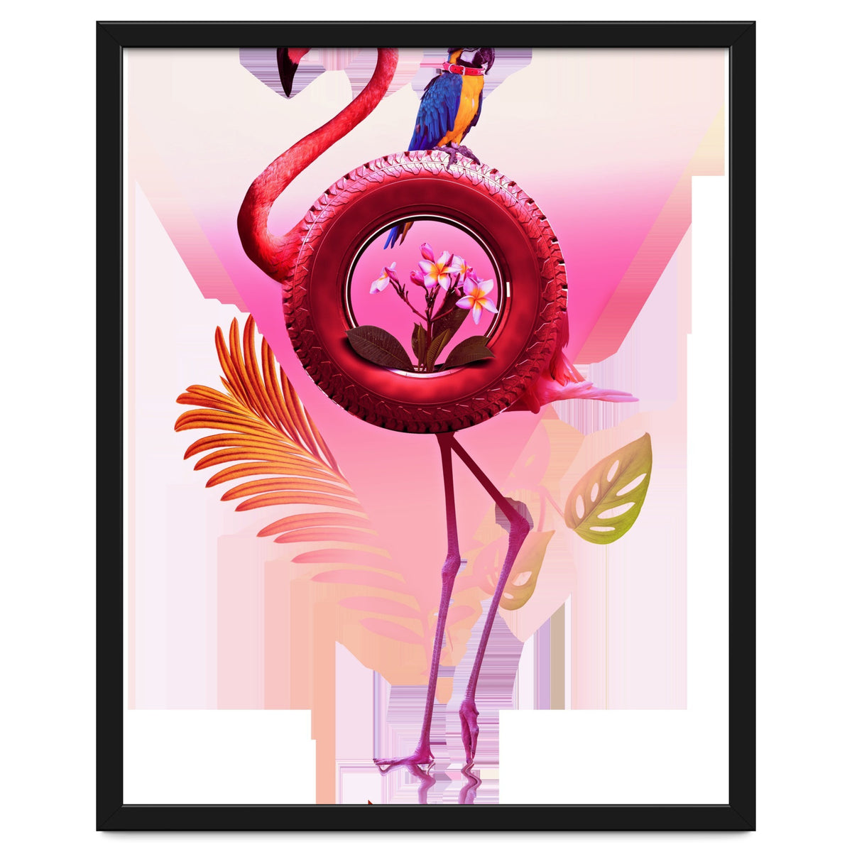 Flamingo