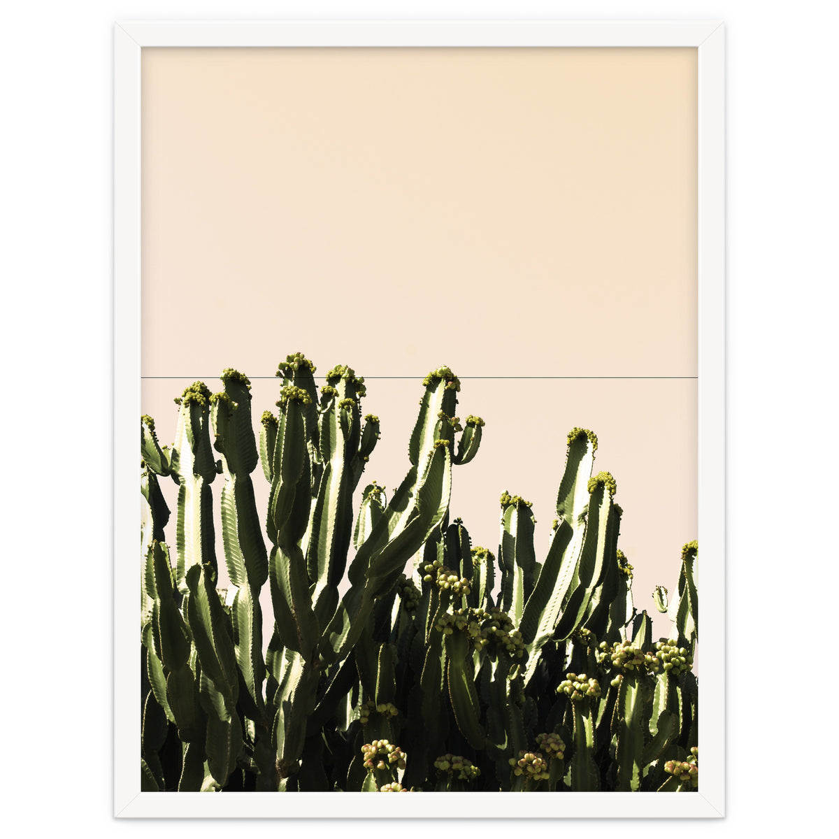 Cactus Vertical Color