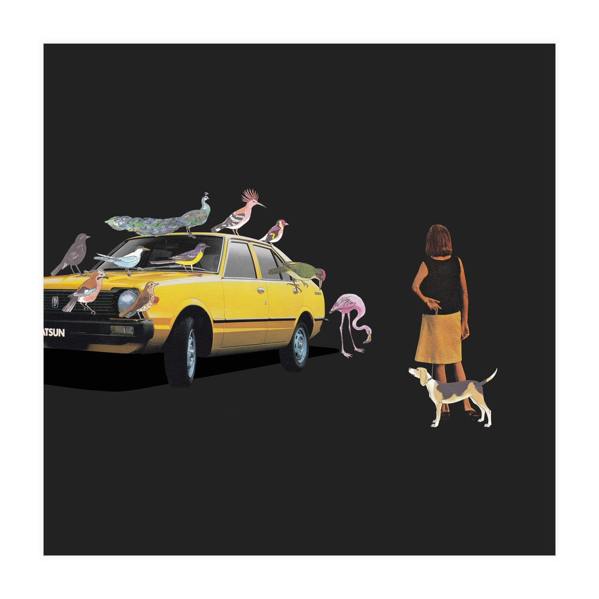 Bird Gang (Print Only)