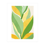 Sunshine Flora (Print Only) thumbnail