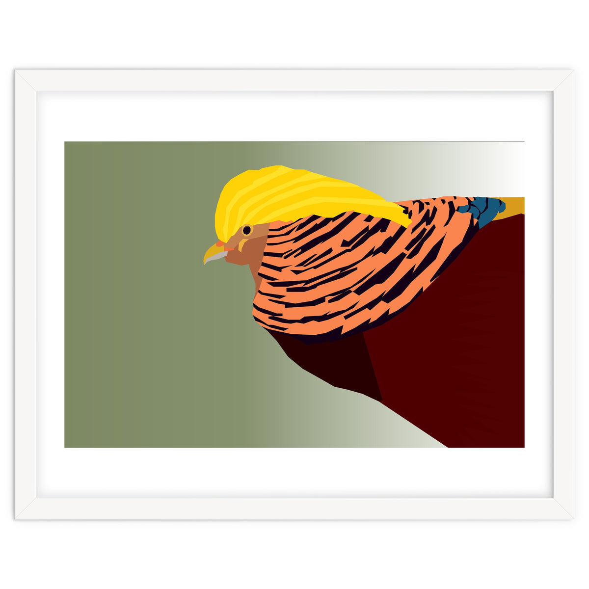 Golden Pheasant Bird Art