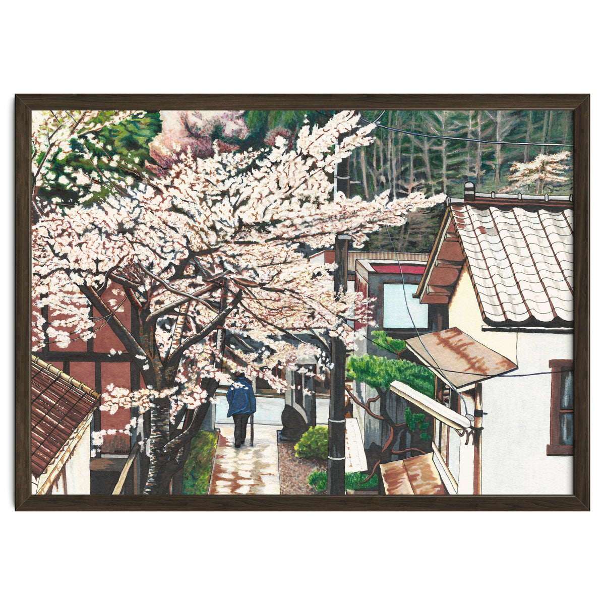 Passing by Cherry Blossoms