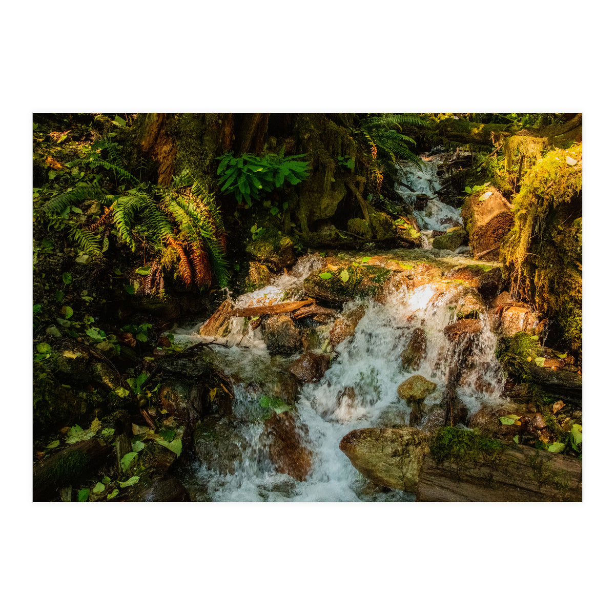 Baker Waterfall (Print Only)