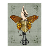 Butterhand Portrait (Print Only) thumbnail