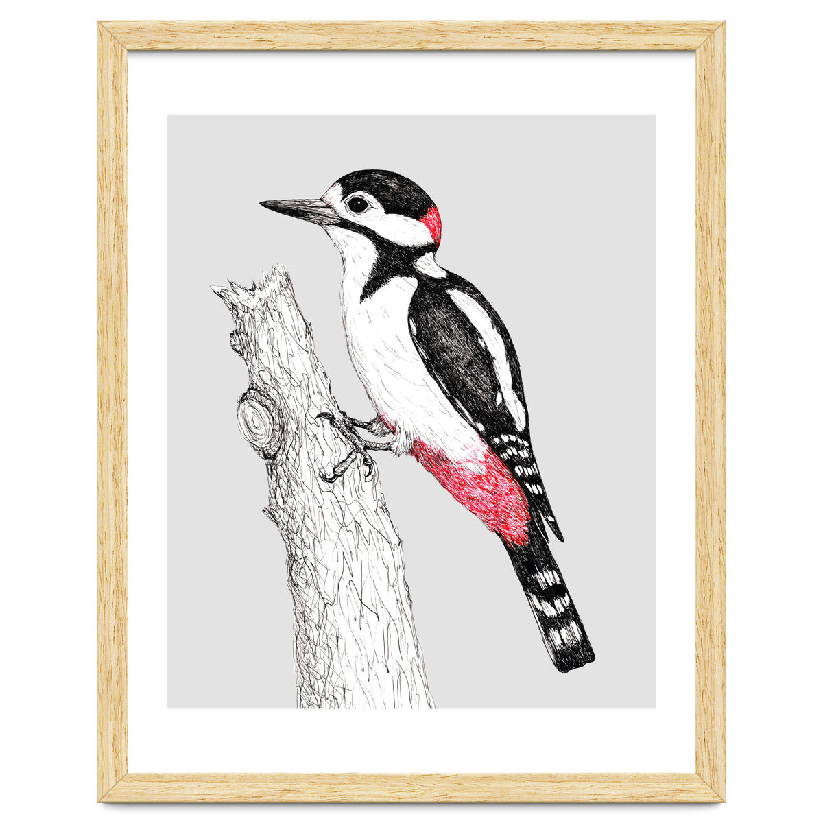 Great spotted woodpecker