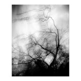 love wish (Print Only) thumbnail