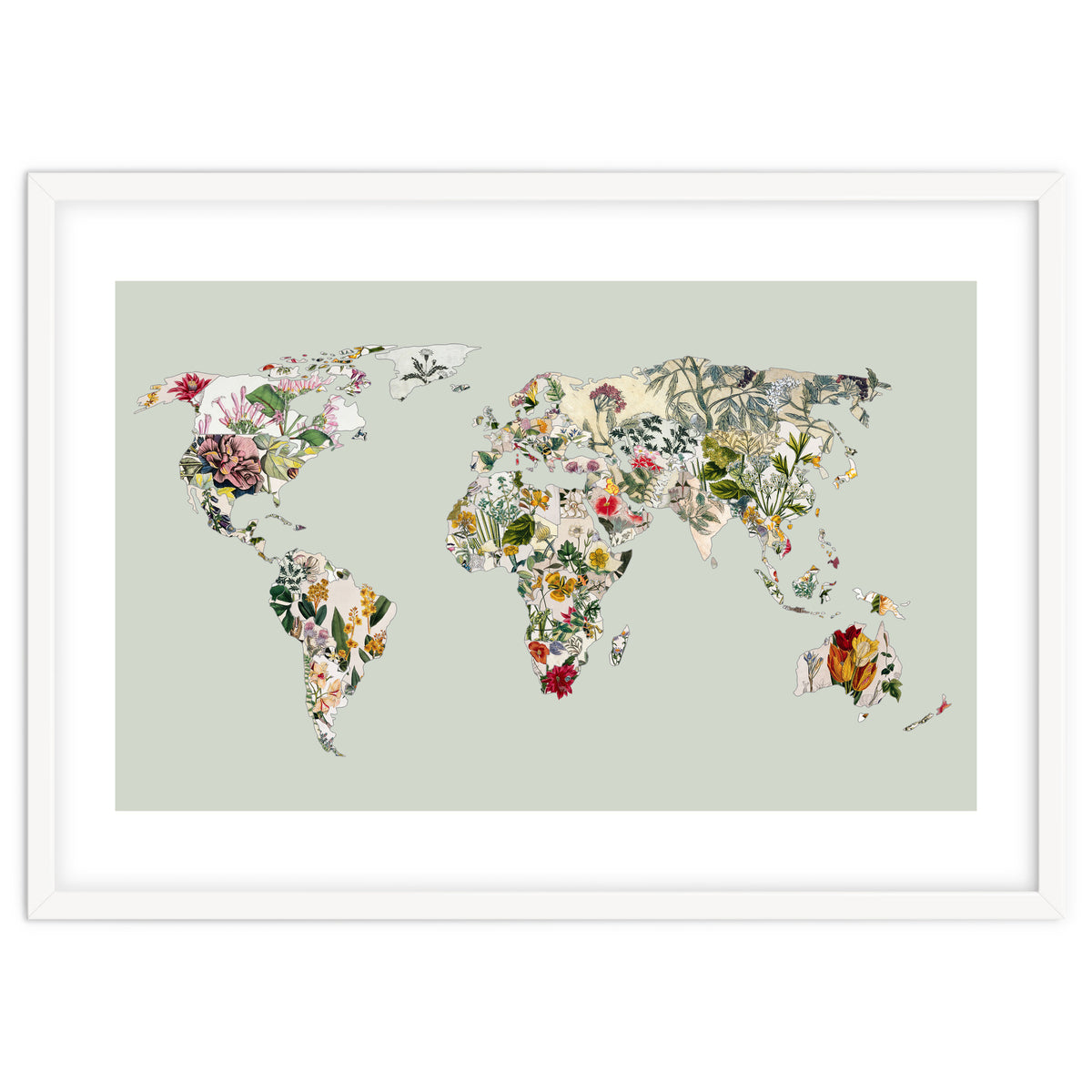 Vintage Botanical Map - Green