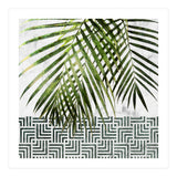Palm Leaves On White Marble And Tiles (Print Only) thumbnail