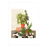 Plant Pots (Print Only) thumbnail