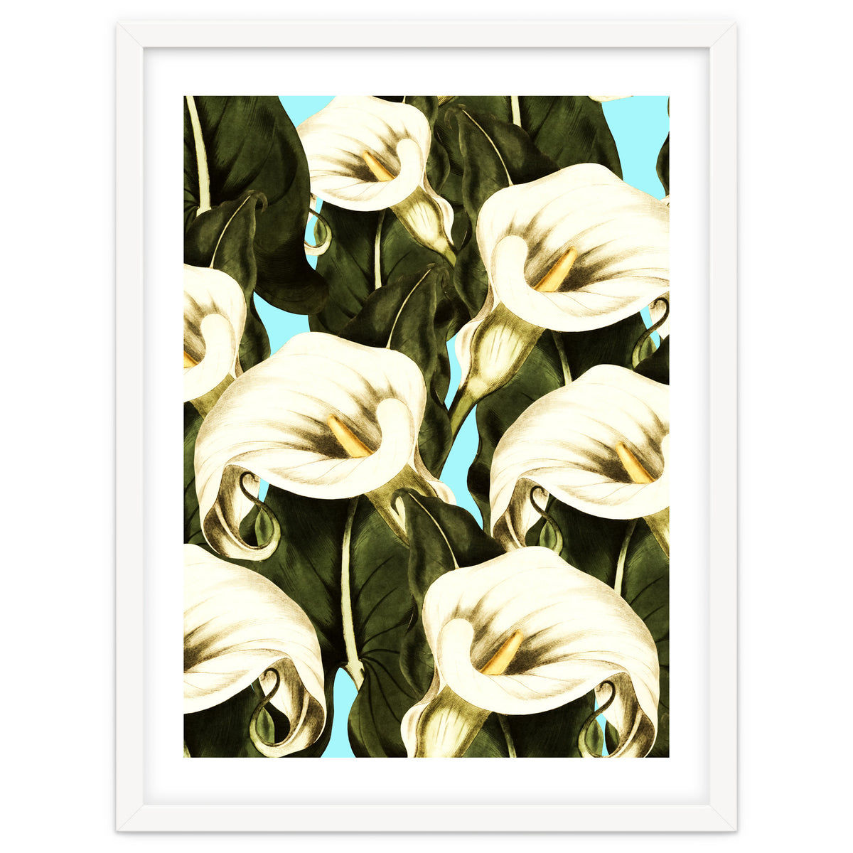 Pattern floral Ethiopian-Calla