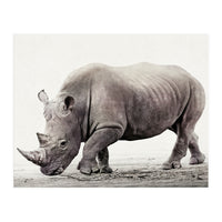 Rhino (Print Only)