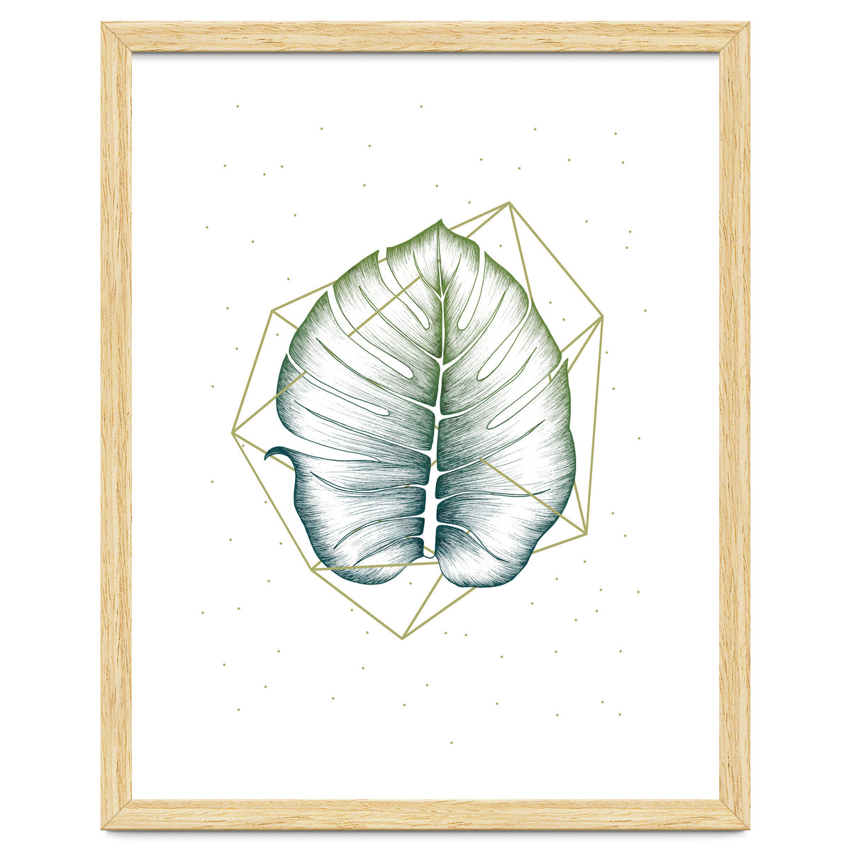 Geometry And Nature II