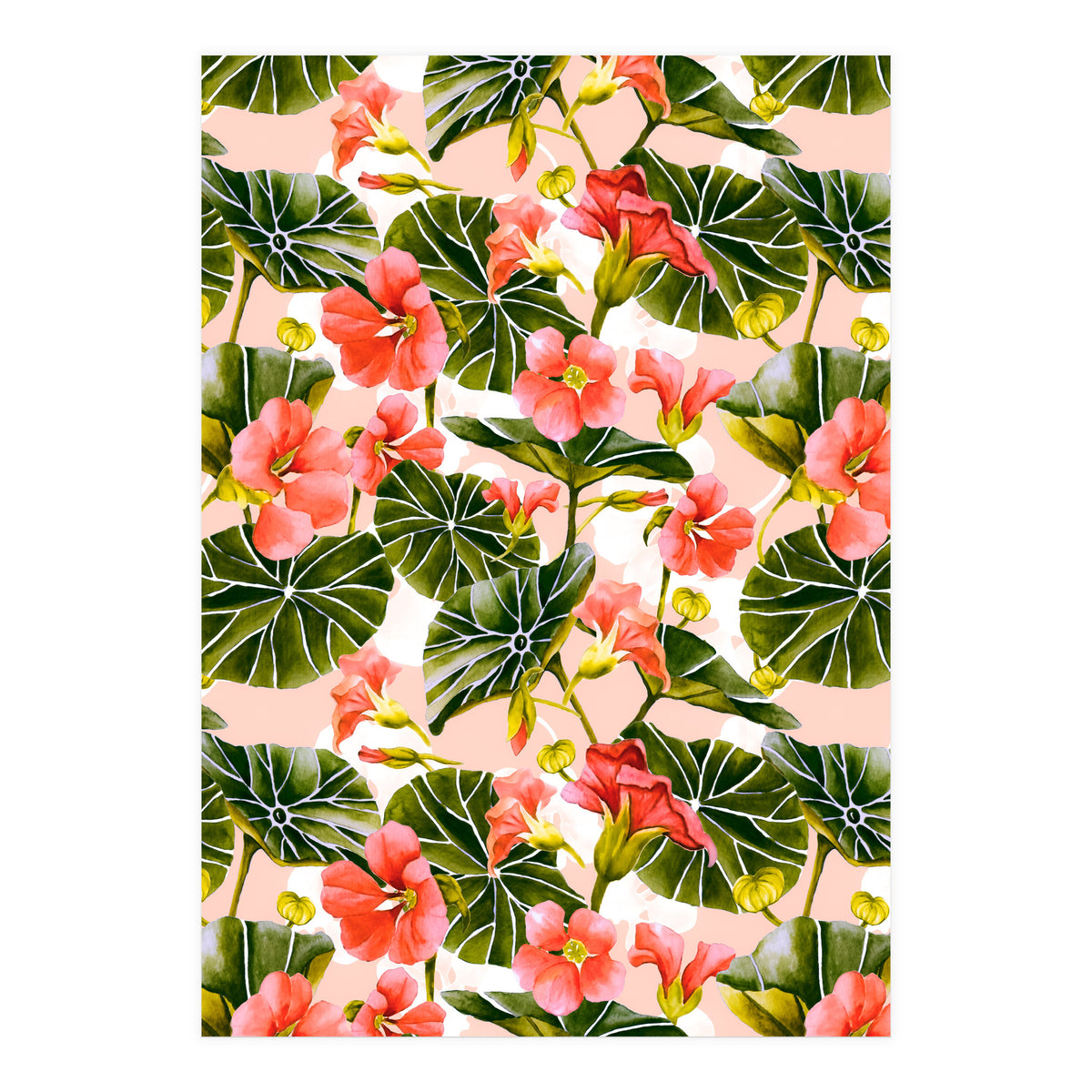 Nasturtiums watercolor 03 (Print Only)