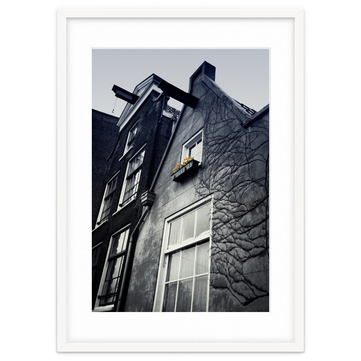 Amsterdam. House With Yellow Flowers.