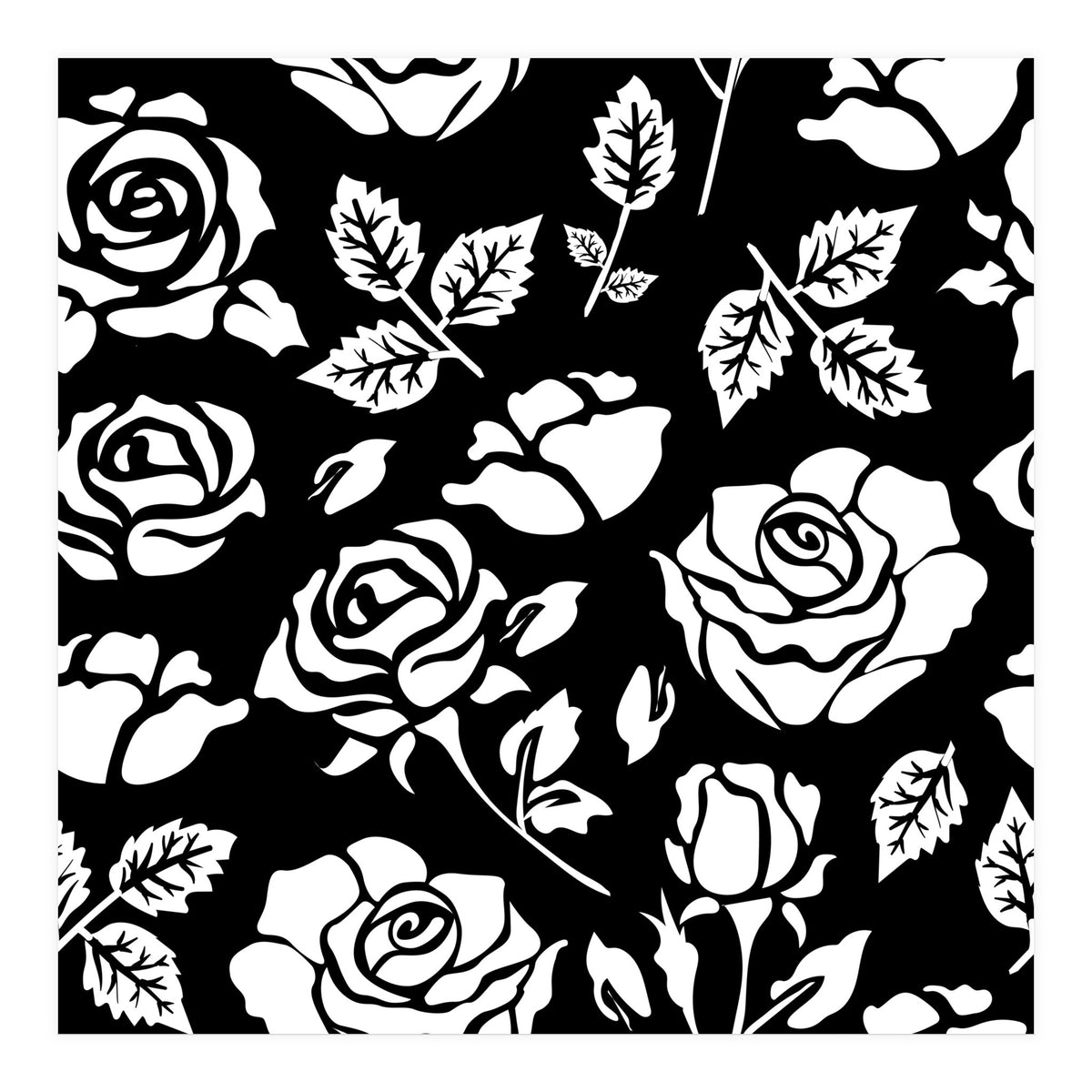 White Rose (Print Only)