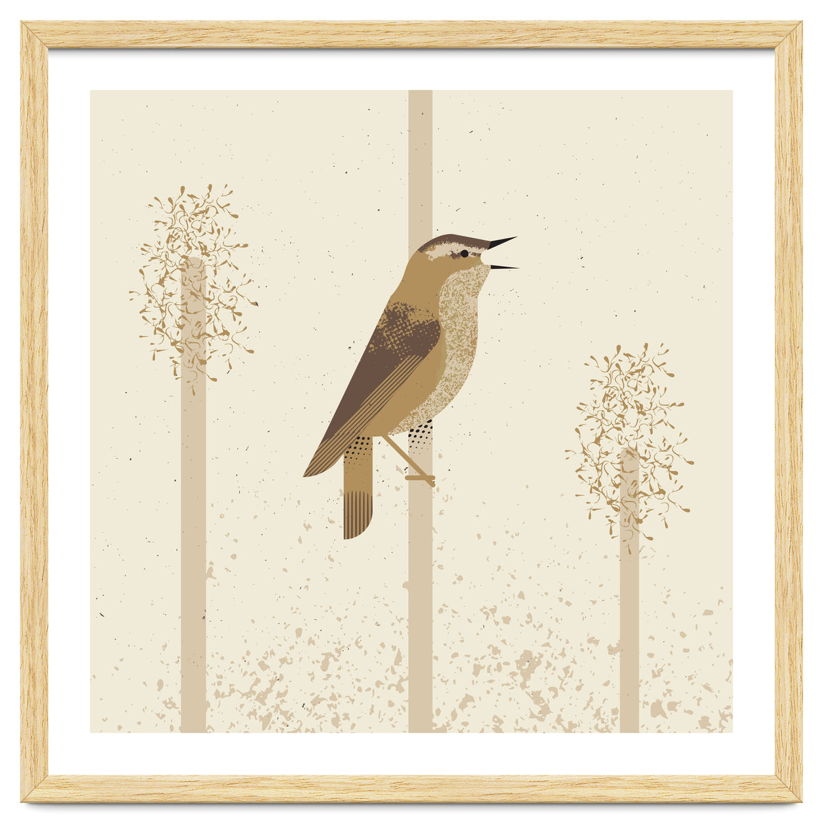 Sedge Warbler