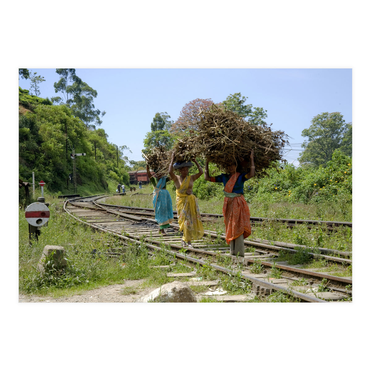 Nuwara Eliya, Sri Lanka (Print Only)