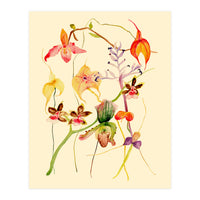 Orchids #1 (Print Only)