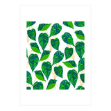 House Plant (Print Only) thumbnail