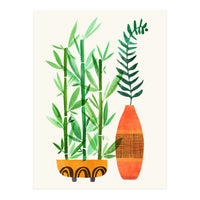 Bamboo And Fern (Print Only)