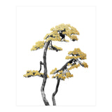 Bonsai Tree 06 (Print Only) thumbnail