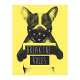 Rebel Dog Yellow (Print Only) thumbnail