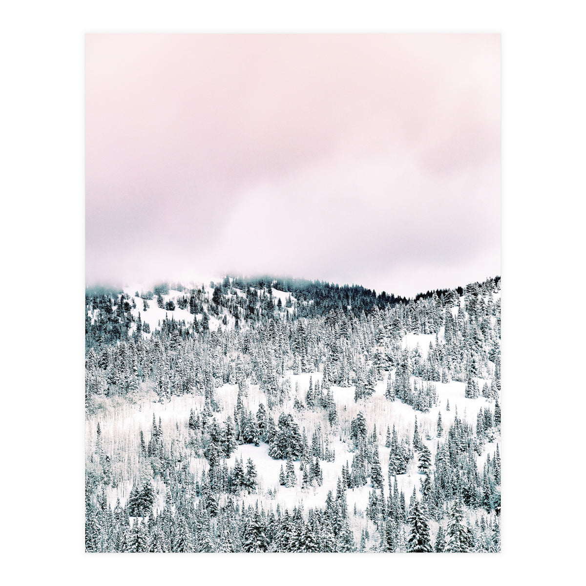 Snow Season (Print Only)