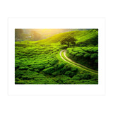 Nature (Print Only) thumbnail