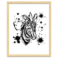 Zebra sketch
