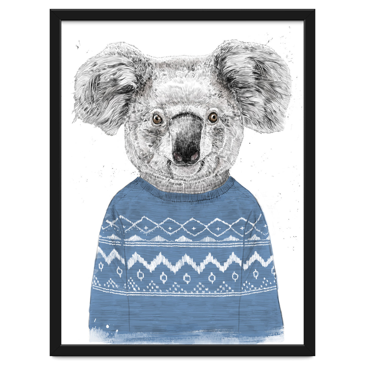 Winter Koala
