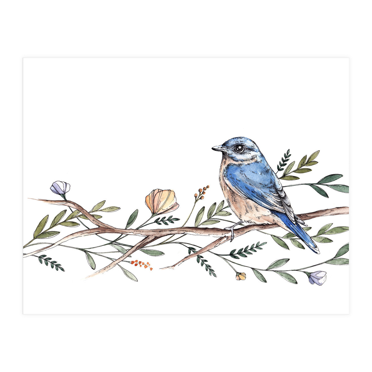 Bird on Branch (Print Only)