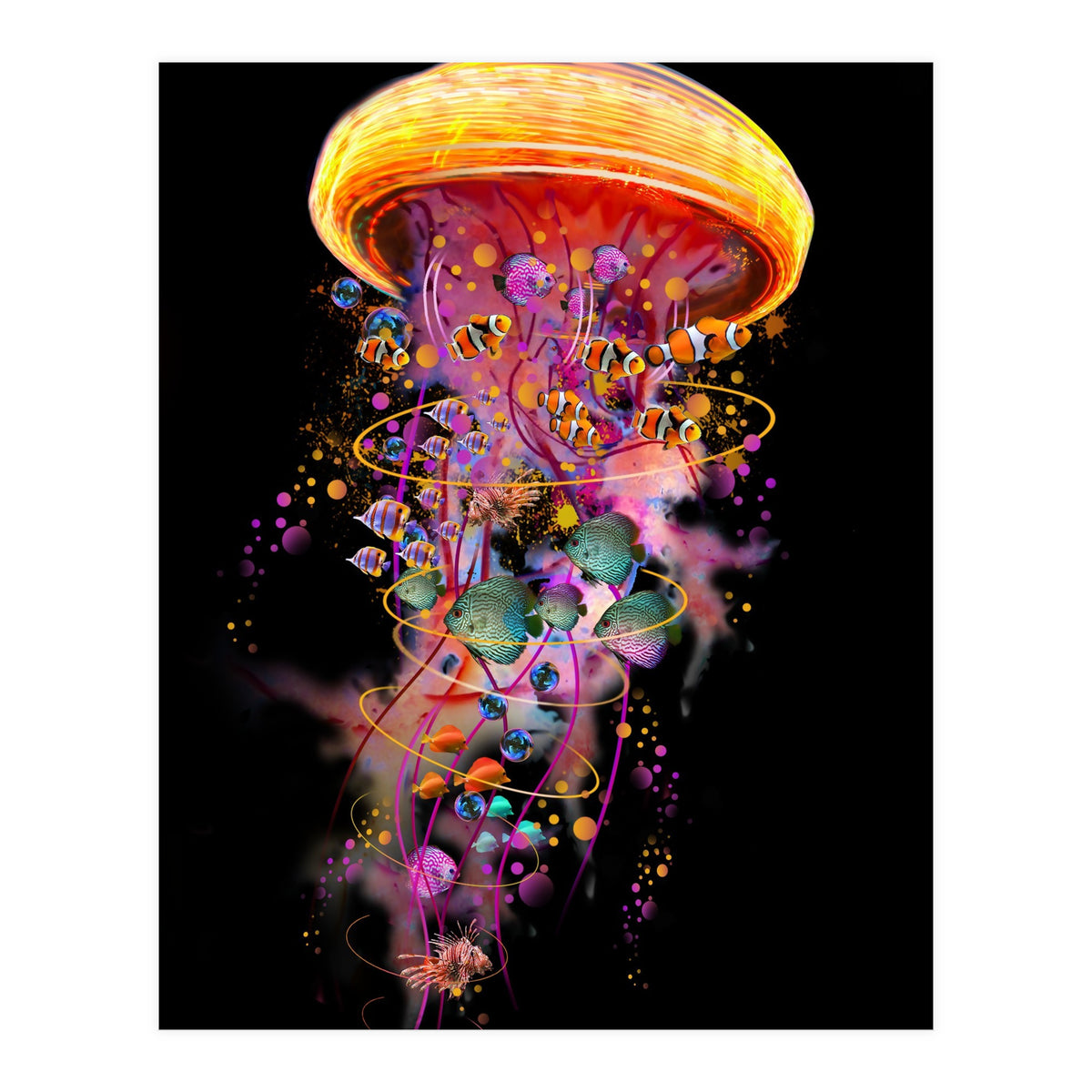 Jelly Fish Ride Summer2018 Dbh (Print Only)