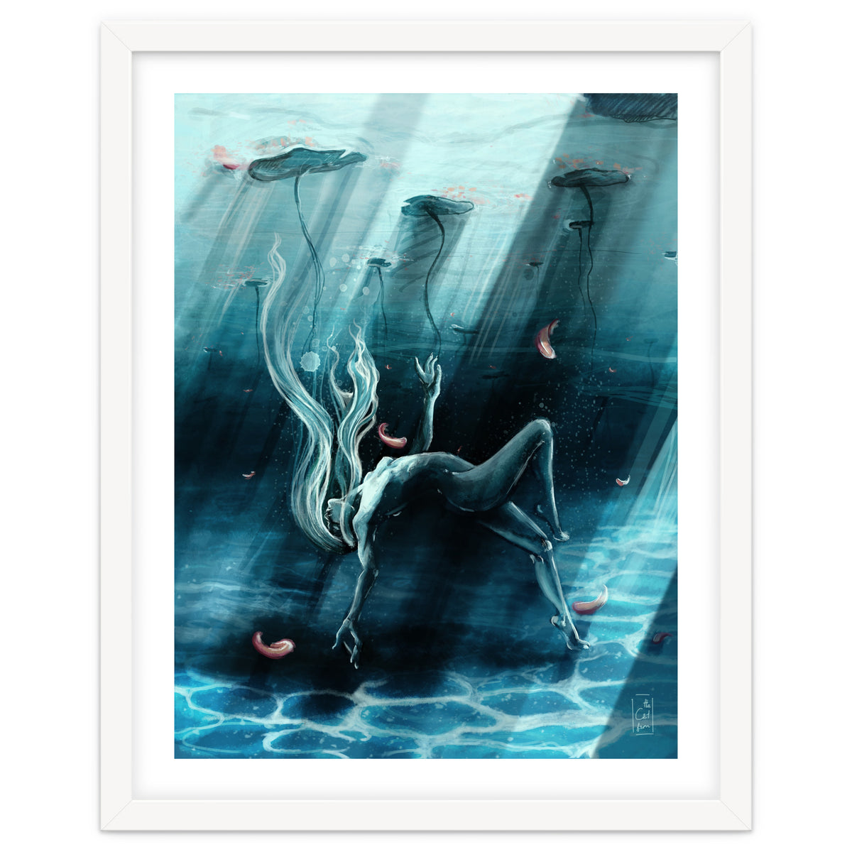 Dance of the Waterlily