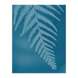 Pteridopsida 2 (Print Only) thumbnail