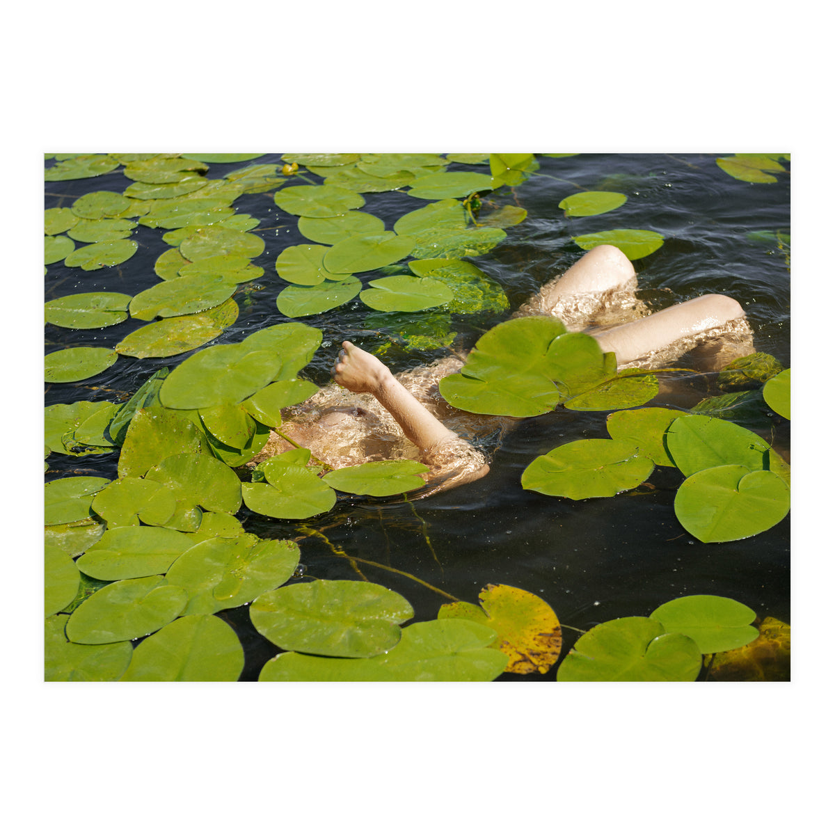 Get Out (Print Only)