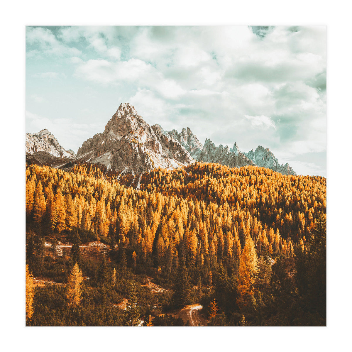 Let's Get Lost (Print Only)