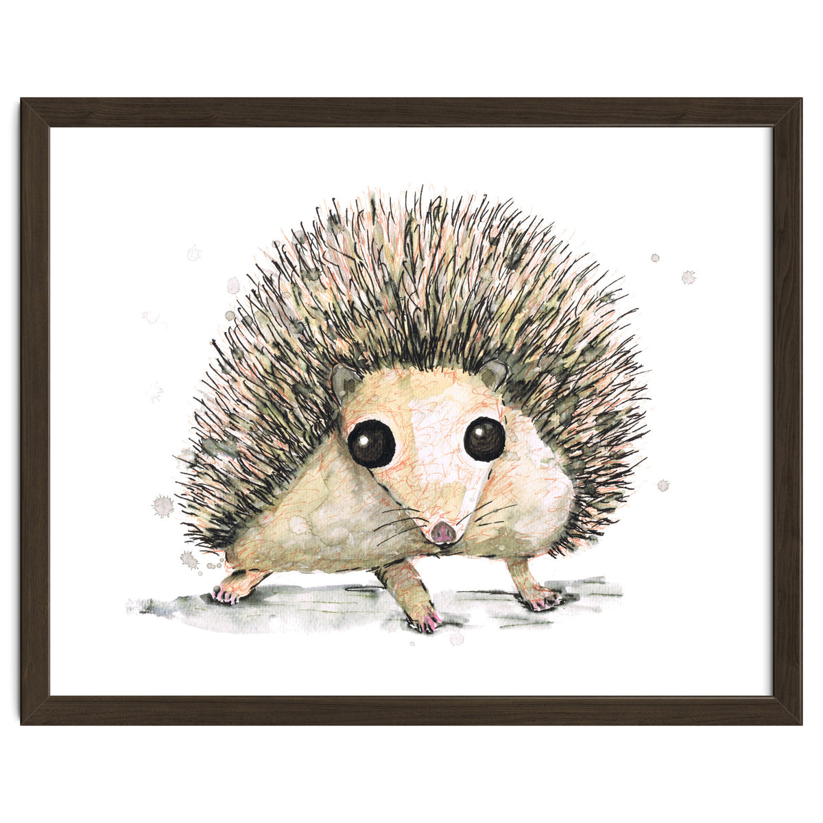 Hedgehog