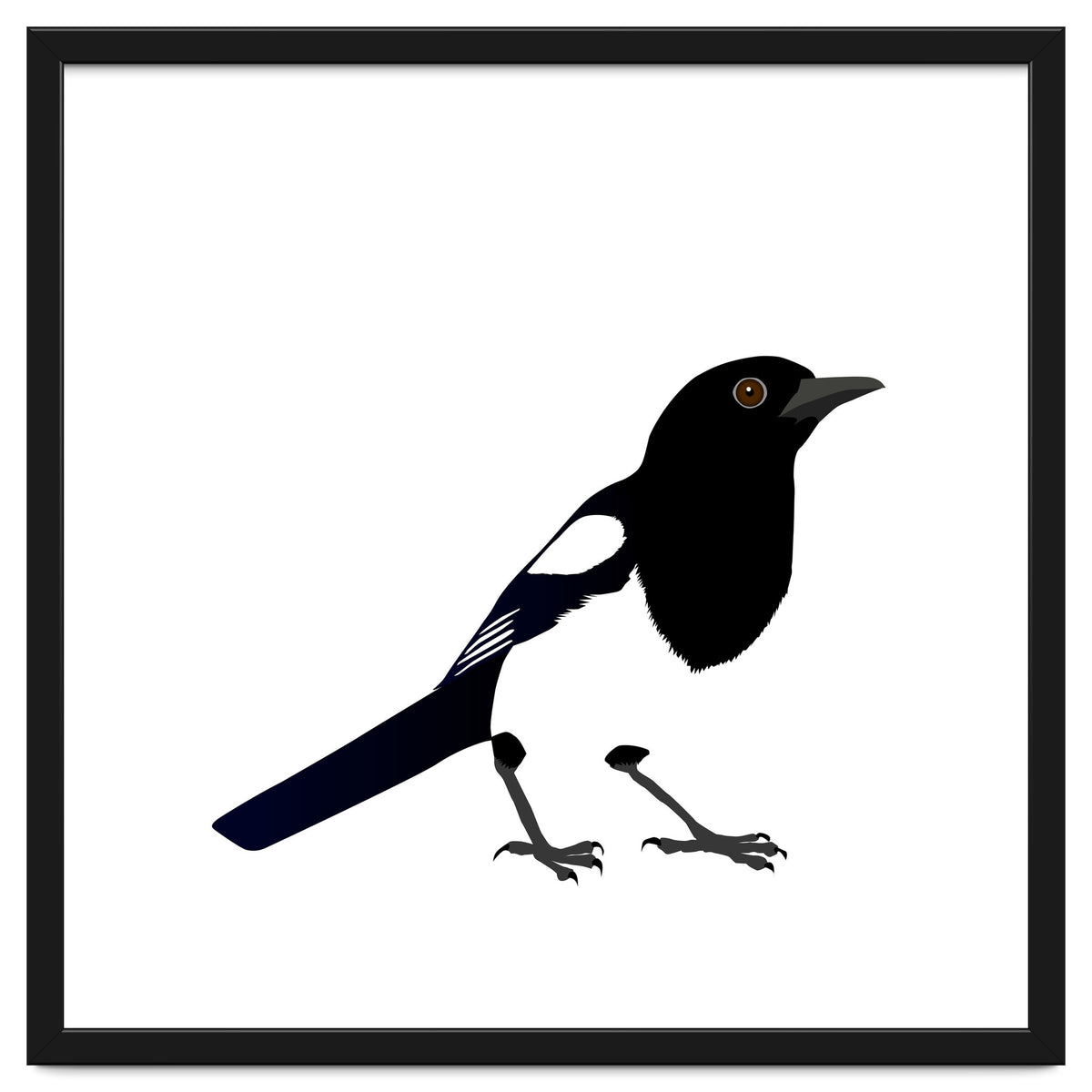 Magpie