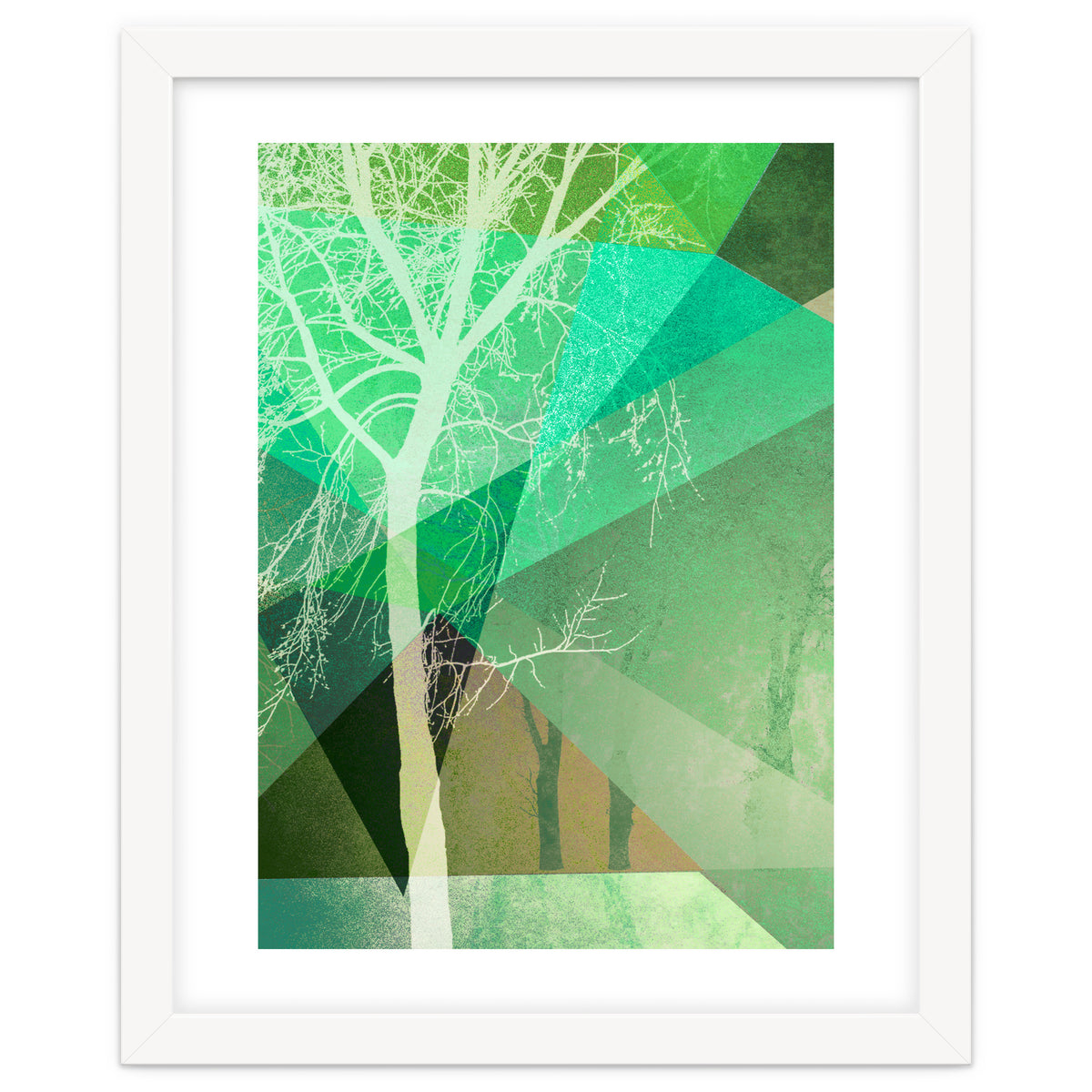 P22 B Trees And Triangles