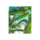 Life Is Better With Palm Trees (Print Only) thumbnail