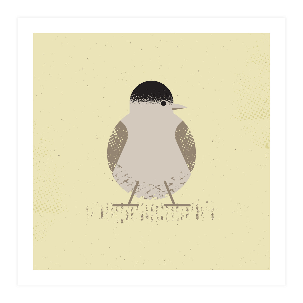 Blackcap 2 (Print Only)