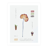 Botanical Notes (Print Only) thumbnail