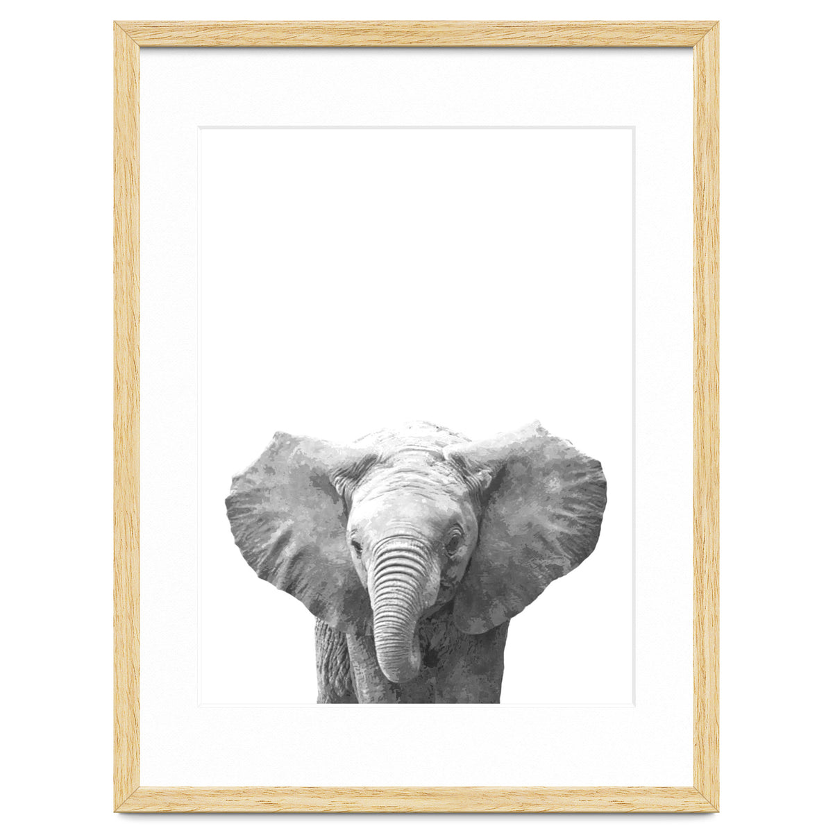 Black and White Baby Elephant