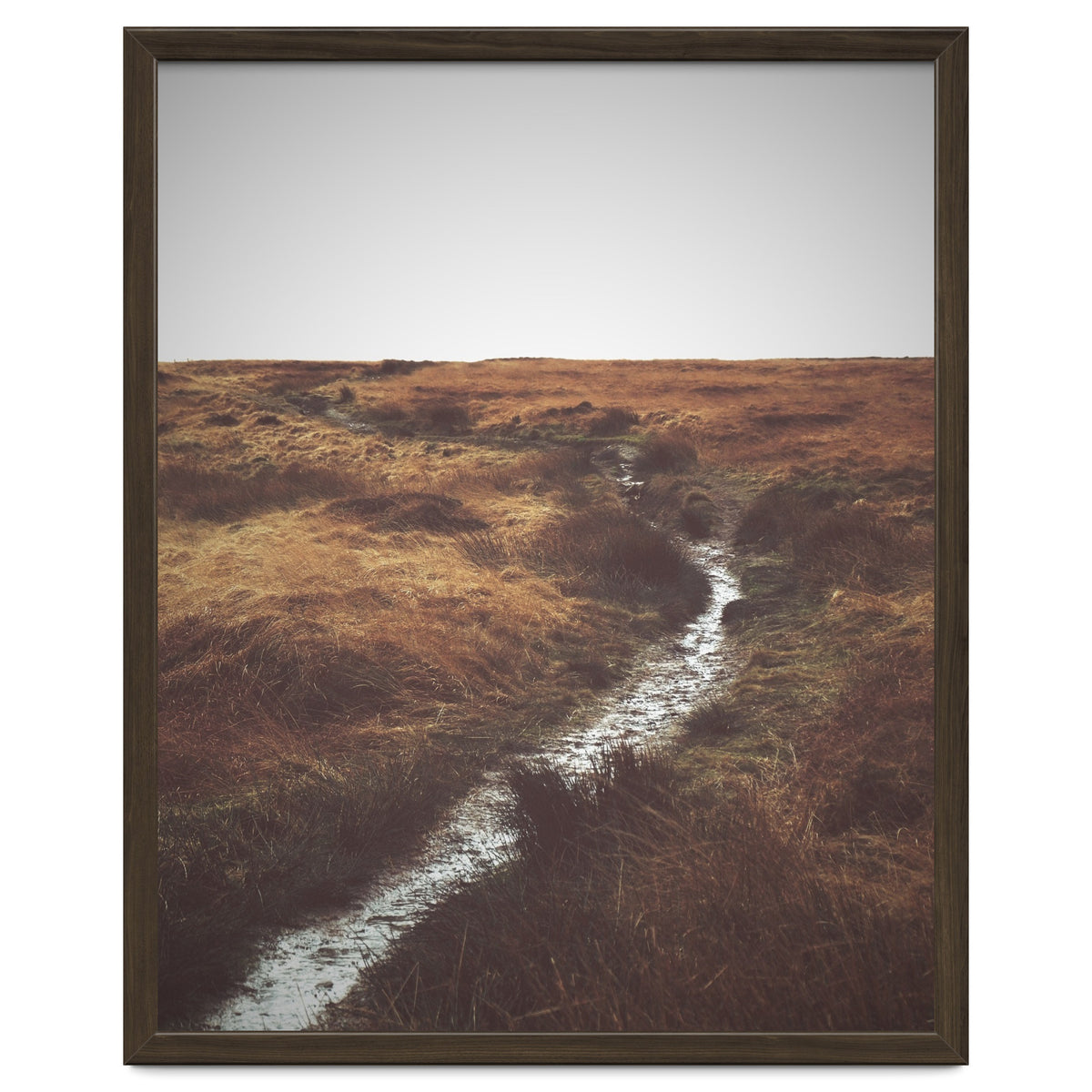Bleak winter landscape of Saddleworth Moor