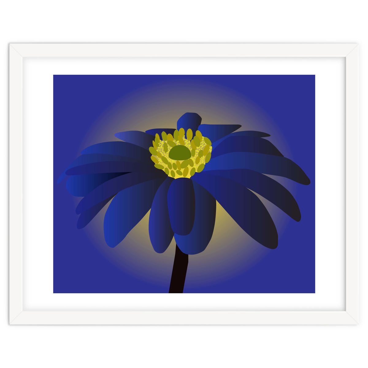 Anemone Blanda Flower Art