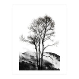 Rocky Mountains (Print Only) thumbnail