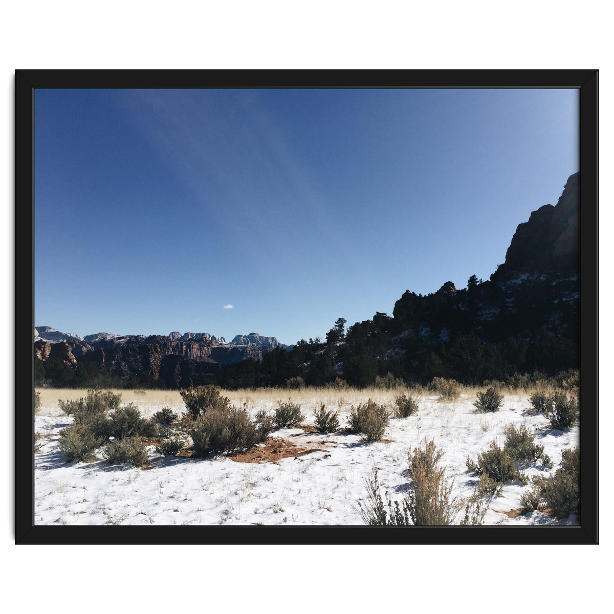 Zion National Park II