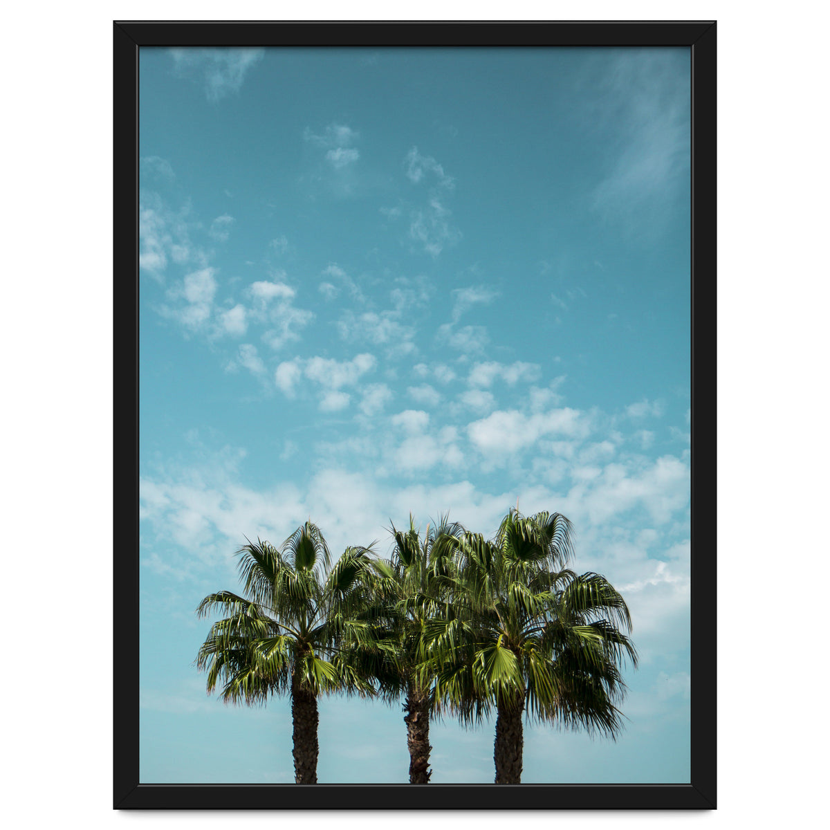 Good vibes. Landscape